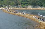 香港聯合國教科文組織世界地質公園（西貢火山岩園區）一天海岸遊