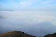 飛鵝山上的雲海景色