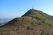 回望飛鵝山