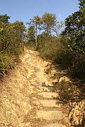 登針山的山徑