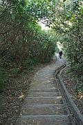 走往淺水灣坳