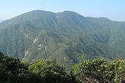 紫羅蘭山