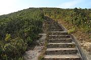 登紫羅蘭山途中