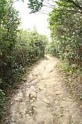 沿途山路