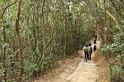 沿途山路