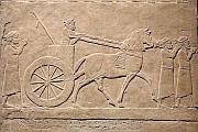 亞述浮雕壁飾 (645 - 635 BC)