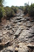 登大峒的山路