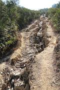 登大峒的山路