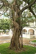 香港文物探知館