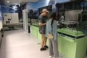 恐龍會客室