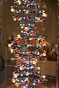 G/F 生命科學展廳的 DNA 模型